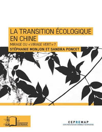 La Transition écologique en Chine