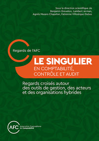 Le Singulier en comptabilité, contrôle et audit