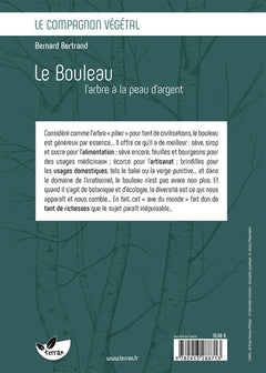 Le bouleau, l'arbre à la peau d'argent