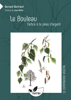 Le bouleau, l'arbre à la peau d'argent