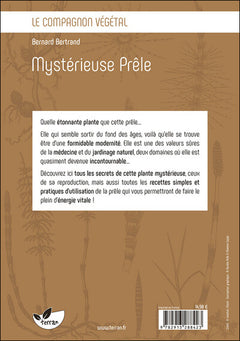 Mystérieuse Prêle