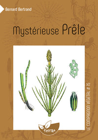 Mystérieuse Prêle