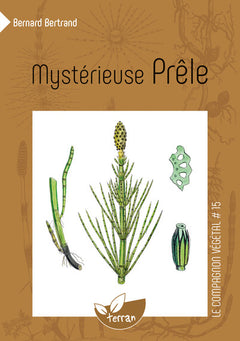 Mystérieuse Prêle