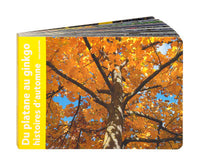 Du platane au ginkgo