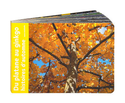 Du platane au ginkgo