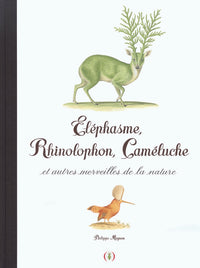 Éléphasme, Rhinolophon, Caméluche et autres merveilles de la nature
