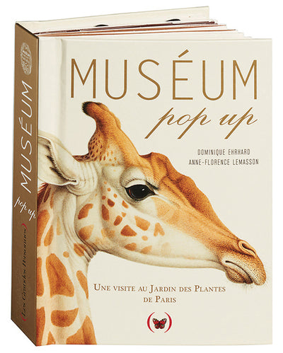 Muséum pop up