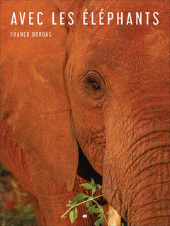 Avec les éléphants