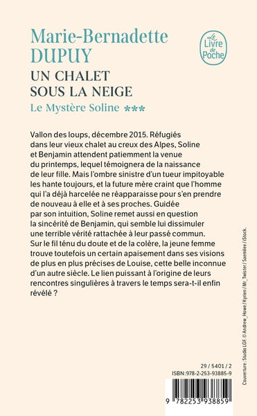 Un Chalet sous la neige