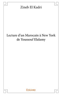 Lecture d'un Marocain à New York de Youssouf Elalamy