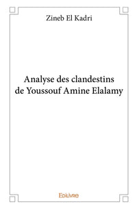 Analyse des clandestins de Youssouf Amine Elalamy