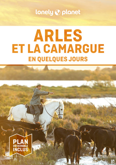 Arles et la Camargue en quelques jours