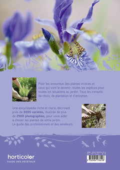 Plantes vivaces
