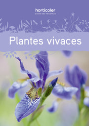 Plantes vivaces
