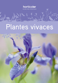 Plantes vivaces