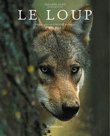 Le Loup