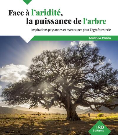 Face à l'aridité, la puissance de l'arbre