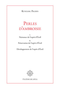 PERLES D'AMBROISIE, COMMENTAIRE LITTERAL DE LA MARCHE VERS L'EVEIL