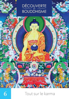 Tout sur le karma Vol 6