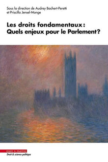 Les droits fondamentaux : Quels enjeux pour le Parlement ?