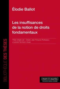 Les insuffisances de la notion de droits fondamentaux