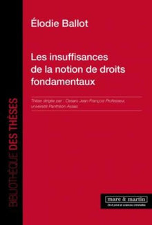 Les insuffisances de la notion de droits fondamentaux