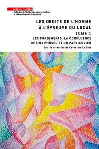Les droits de l'homme à l'épreuve du local - Tome 1