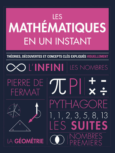 Les mathématiques en un instant