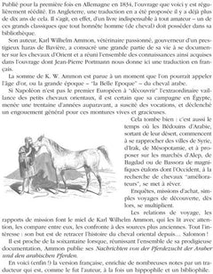 Chevaux des Arabes et chevaux arabes