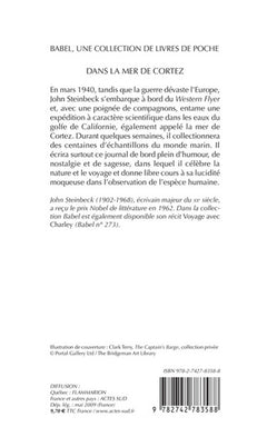 Dans la mer de Cortez