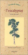 L'eucalyptus