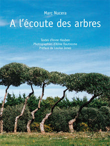 A l'écoute des arbres