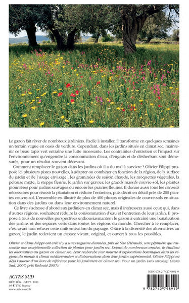 Alternatives au gazon