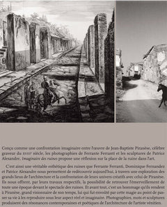 L'Imaginaire des ruines