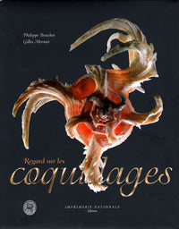 Regard sur les coquillages
