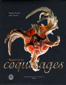 Regard sur les coquillages