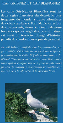 Cap Gris-Nez et Cap Blanc-Nez