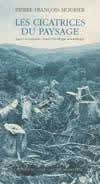 Les cicatrices du paysage