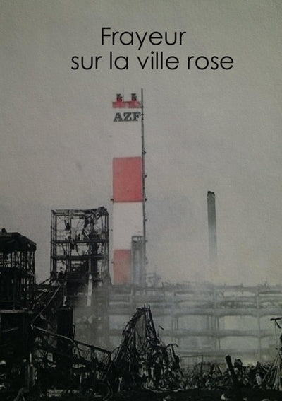 Frayeur sur la ville rose