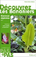 Découvrez les bananiers
