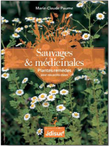 Sauvages et médicinales: Plantes remèdes pour nos petits maux