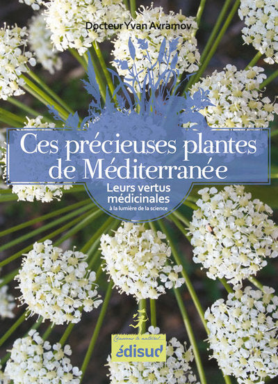 Ces précieuses plantes de Méditerranée
