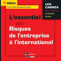 L'Essentiel des risques de l'entreprise à l'international