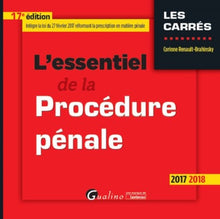 L'essentiel de la procédure pénale
