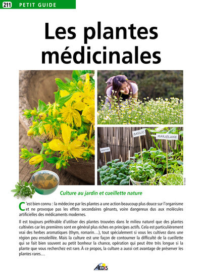 Le jardinage : Les plantes médicinales