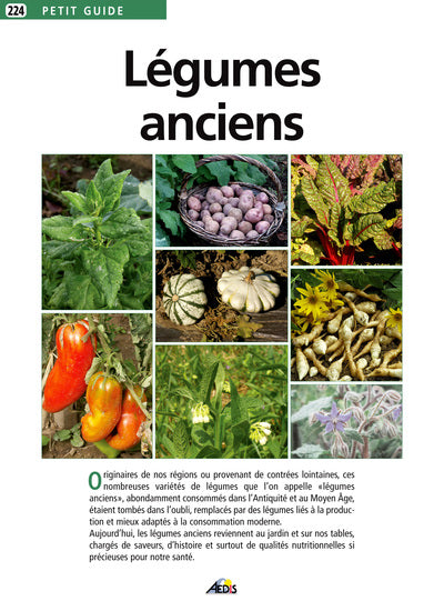 Légumes anciens