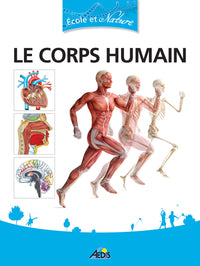 Le corps humain