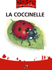La coccinelle