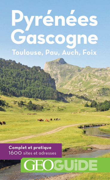 pyrénées gascogne