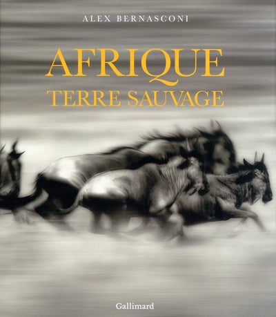 Afrique, Terre sauvage